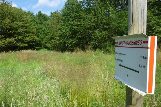 Versäumt (Foto: Bodo Schwarzberg) Versäumt (Foto: Bodo Schwarzberg)