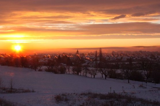 Schönheit und Kälte (Foto: Holstein) Schönheit und Kälte (Foto: Holstein)