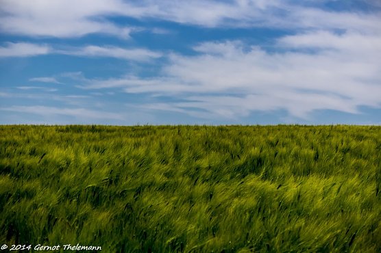 Wetter-Bild (Foto: Gernot Thelemann)
