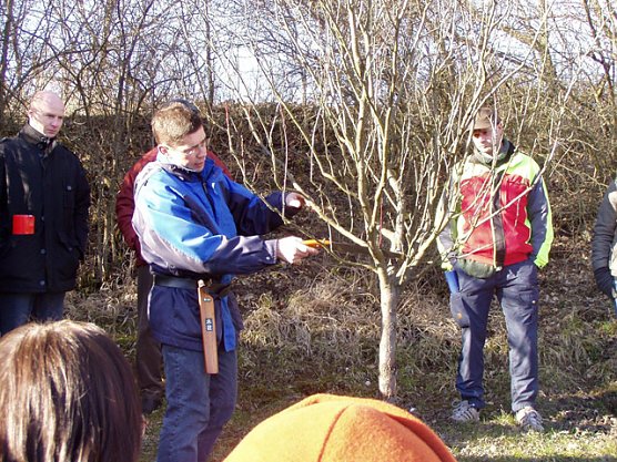 Baumschnitt Vorf&uuml;hrung (Foto: Kulturland Friedrichsrode)
