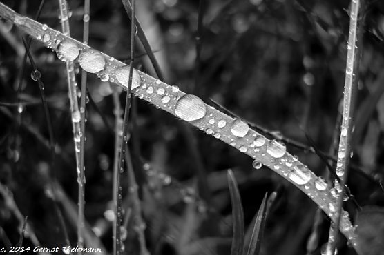Wetterbild (Foto: Gernot Thelemann)