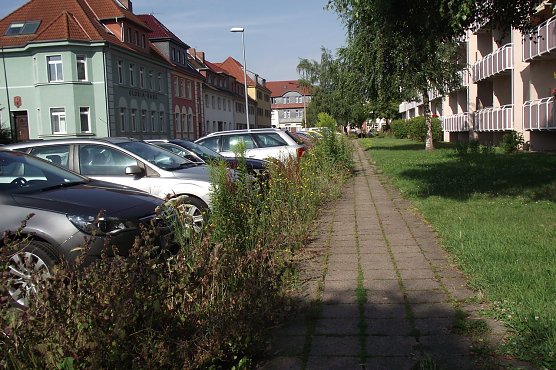 Gefahr von oben (Foto: Kurt Frank)