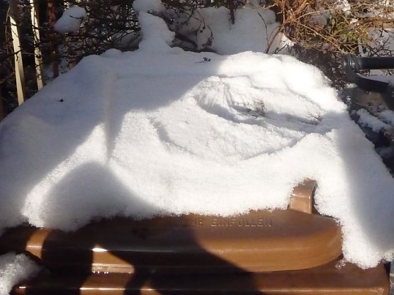 Frost in der Tonne (Foto: nnz)