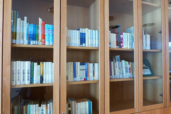 Hagelstange im neuen Haus (Foto: Heidelore Kneffel)