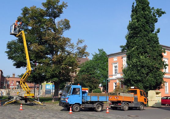 Gefahr gebannt (Foto: nnz)