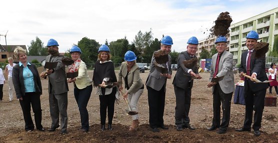 Achtmal gestochen (Foto: nnz)