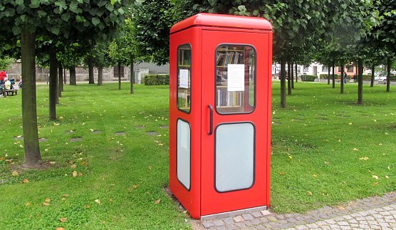 Bücherschrank für alle in Ellrich (Foto: privat) Bücherschrank für alle in Ellrich (Foto: privat)