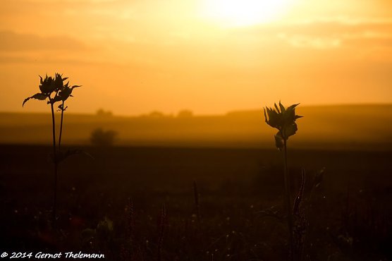 Wetterbild (Foto: Gernot Thelemann)