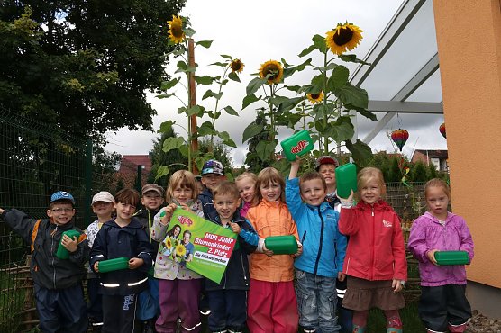 Die Gl&uuml;hw&uuml;rmchen (Foto: MDR Jump)