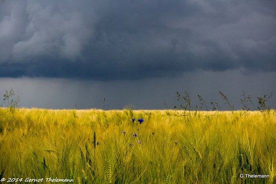 Wetter-Bild (Foto: Gernot Thelemann)