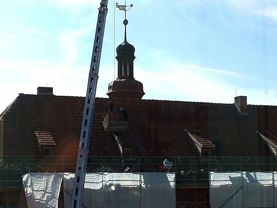 Auf dem Dach (Foto: Peter Blei)