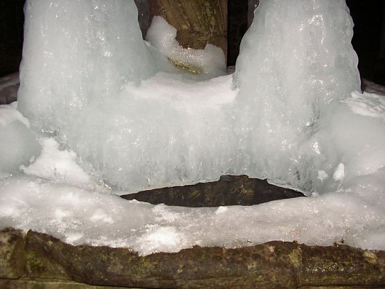 Winterspuren (Foto: Blei)