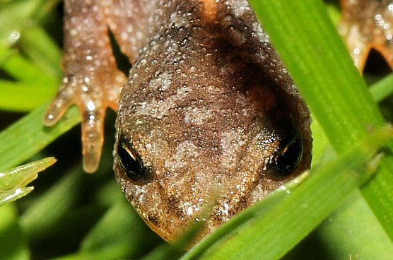 Spaziergang im Regen (Foto: Berti Voigt)