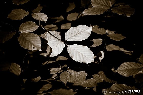 Wetter-Bild (Foto: Gernot Thelemann)