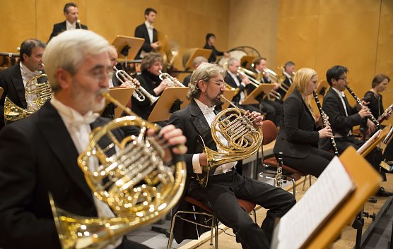 Loh (Foto: T. Graner)