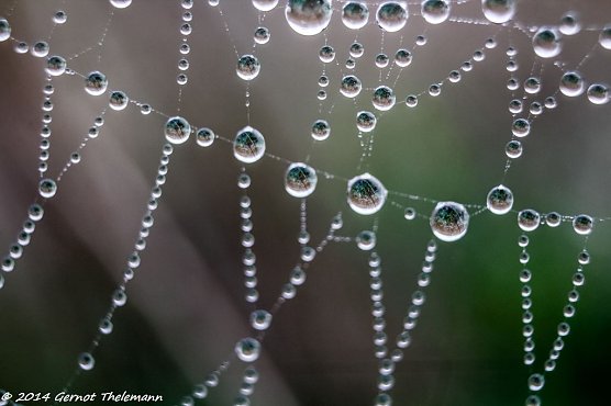 Wetter-Bild (Foto: Gernot Thelemann)