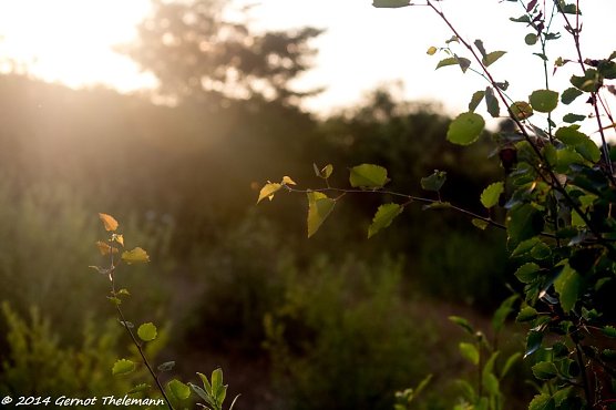 Wetter-Bild (Foto: Gernot Thelemann)