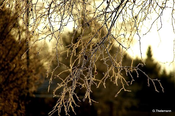 Wetter-Bild (Foto: Gernot Thelemann)