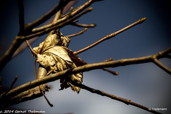 Wetter-Bild (Foto: Gernot Thelemann) Wetter-Bild (Foto: Gernot Thelemann)