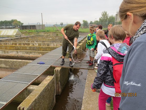 Einige Tiere konnten hautnah beobachtet werden (Foto: Landschaftspflegeverband S&uuml;dharz/Kyffh&auml;user e.V.)
