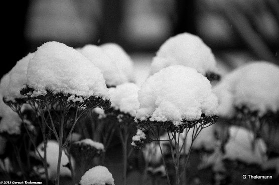 Wetter-Bild (Foto: Gernot Thelemann)