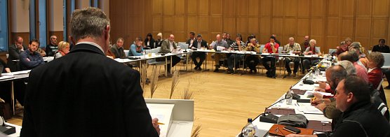 Blick in den Stadtrat (Foto: Angelo Glashagel)