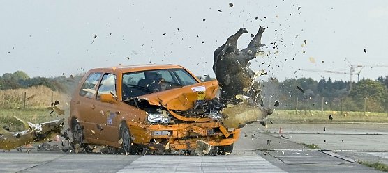 Simulierter Wildunfall (Foto: ADAC) Simulierter Wildunfall (Foto: ADAC)