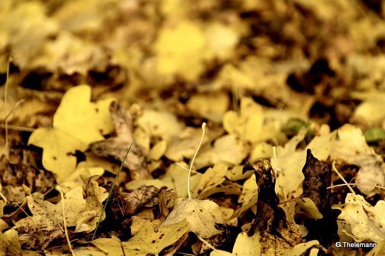 Wetterbild (Foto: Gernot Thelemann)