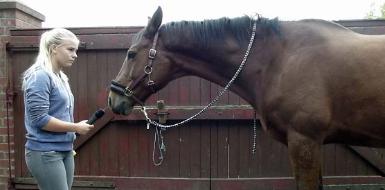 Interview mit einem Pferd (Foto: OKN/S. Witzel)