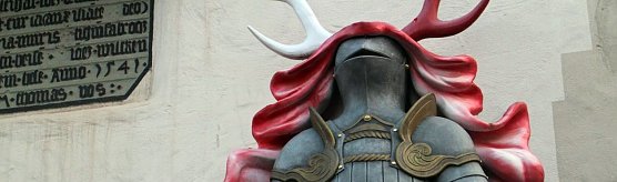 Haushalt f&uuml;r den Schneckenhengst (Foto: Angelo Glashagel)