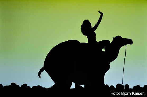 Amazing Shadows - nur mit ihren K&ouml;rpern formen die amerikanischen K&uuml;nstler fantastische Schattenfiguren (Foto: Catapult Entertainment)