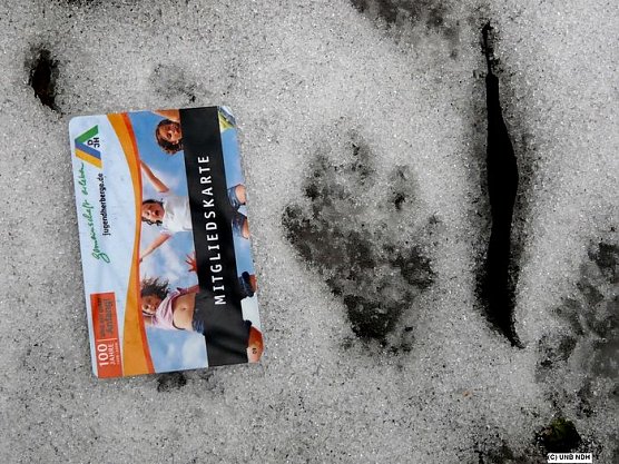 Der Fischotter ist angekommen (Foto: Piper/pln)