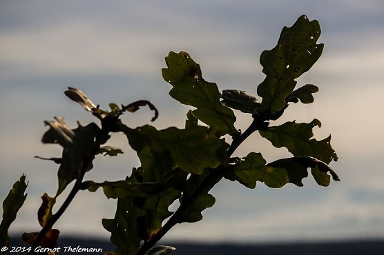 Wetter-Bild (Foto: Gernot Thelemann)