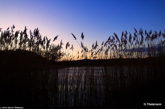 Wetter-Bild (Foto: Gernot Thelemann) Wetter-Bild (Foto: Gernot Thelemann)