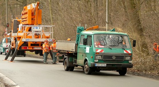 Pflegearbeiten (Foto: nnz)