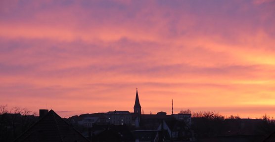 Aufgegangen (Foto: Kaschube)