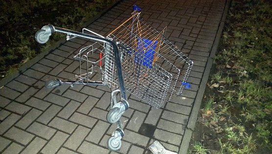 Einkaufswagen (Foto: Peter Blei) Einkaufswagen (Foto: Peter Blei)
