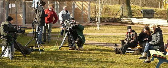 Bei der Arbeit (Foto: nnz) Bei der Arbeit (Foto: nnz)