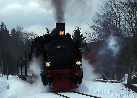 Mit Fifi auf den Brocken (Foto: Schwarzbach) Mit Fifi auf den Brocken (Foto: Schwarzbach)