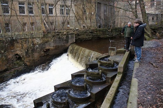 Die Fischtreppe an der alten Schokoladenfabrik Friedel in Wernigerode (Foto: Prof. Axel Stödter) Die Fischtreppe an der alten Schokoladenfabrik Friedel in Wernigerode (Foto: Prof. Axel Stödter)
