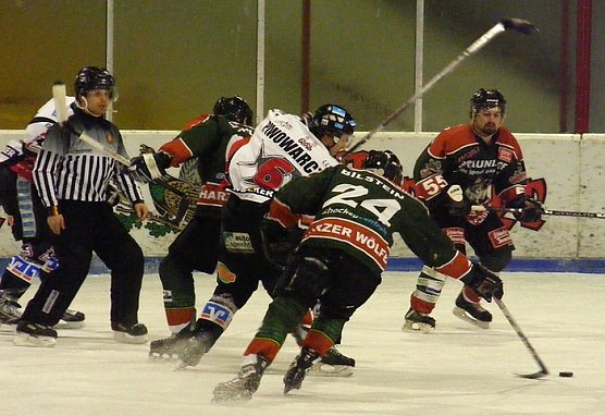 Gut mitgespielt (Foto: Koch)