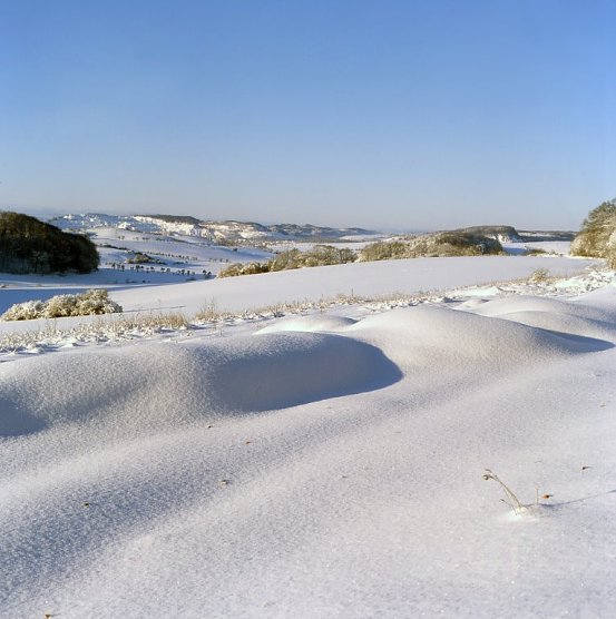 Die Dichterst&auml;tte Sarah Kirsch in Limlingerode n&auml;hert sich dem Werk der K&uuml;nstlerin von der Landschaftlichen Seite (Foto: Ehepaar Richter/Neustadt)