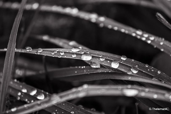 Wetterbild (Foto: Gernot Thelemann) Wetterbild (Foto: Gernot Thelemann)