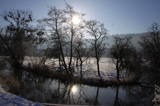 Wipperaue bei Obergebra (Foto: M. Randel) Wipperaue bei Obergebra (Foto: M. Randel)