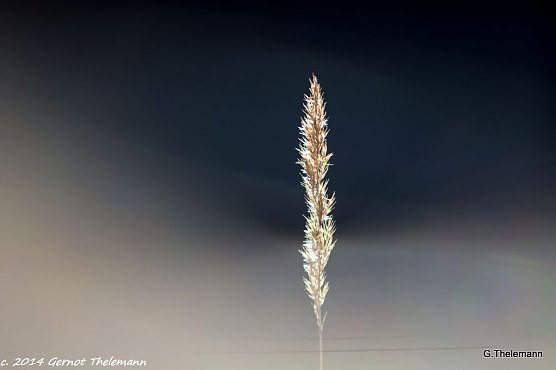 Wetterbild (Foto: Gernot Thelemann)