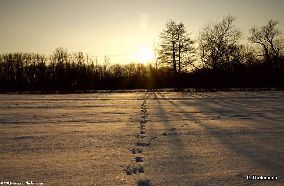 Wetter-Bild (Foto: Gernot Thelemann)