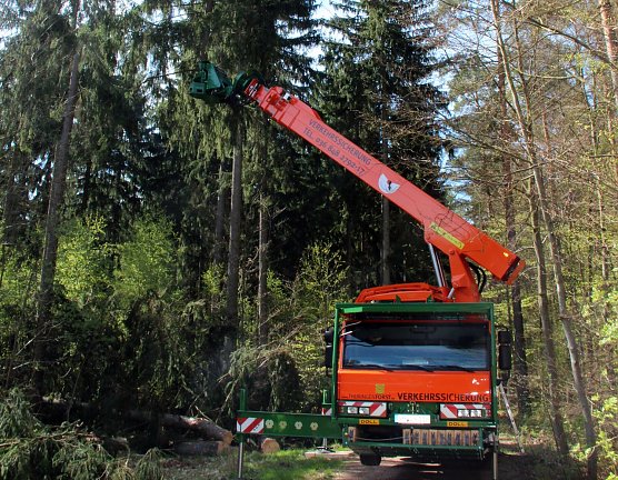 Doll Tree Trimmer im Einsatz (Foto: Th&uuml;ringenForst)