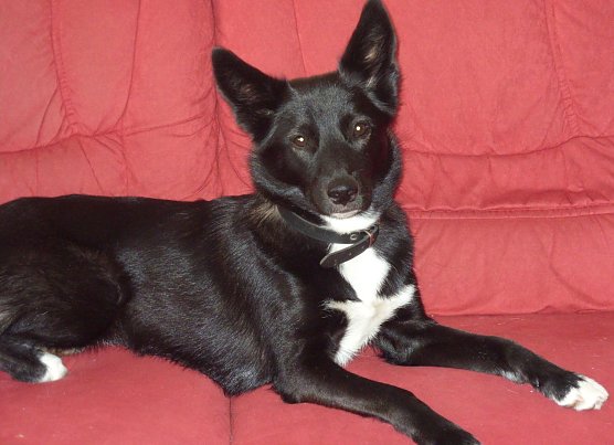 Bonny M. (Foto: privat)