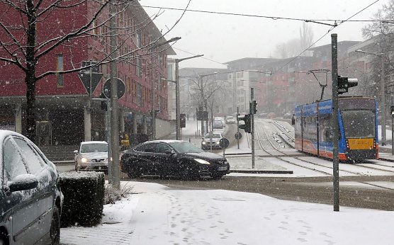 Flockenwirbel (Foto: nnz)