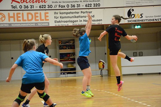 Die C-Jugend der Nordh&auml;user Handballerinnen wollen zum vierten Mal Th&uuml;ringer Landesmeister werden (Foto: Sandra Arm)
